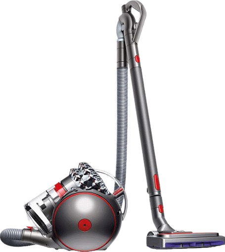 Dyson Cinetic Big ball Animal Pro 2