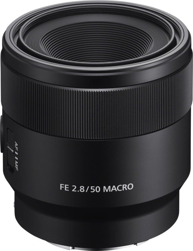 Sony FE 50mm f/2.8 Macro