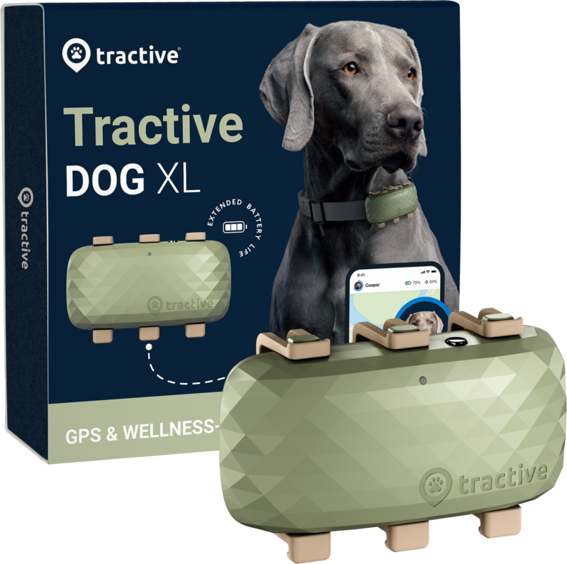 Tractive GPS-Tracker Hund XL Grün